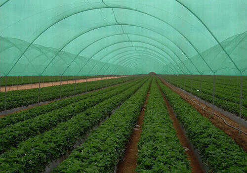 agro-shade-net-500x500